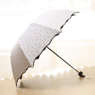 遮阳伞太阳伞黑胶防紫外线防晒